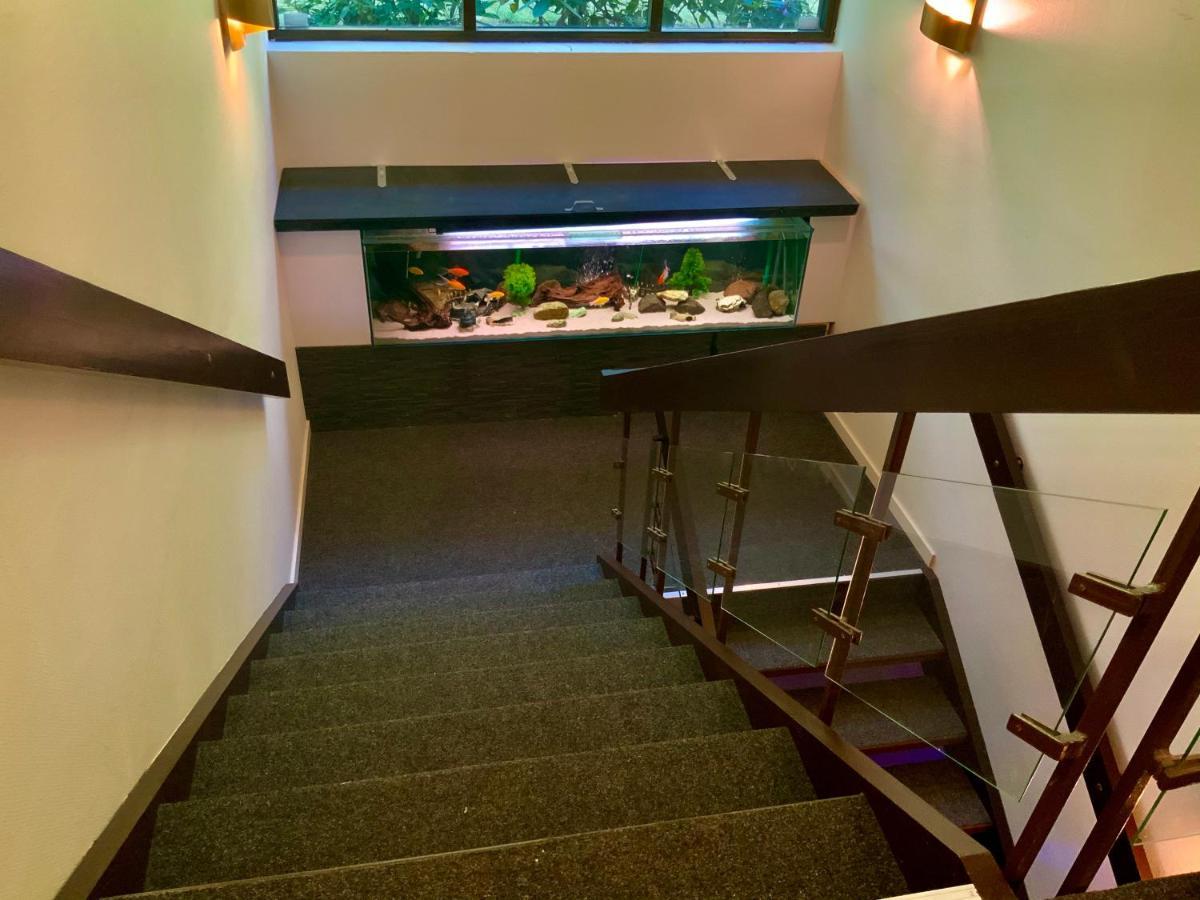 Skogsvikens Hotell Kolmarden Bagian luar foto