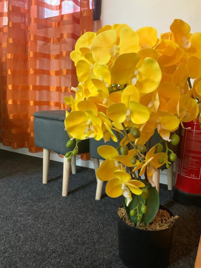 Skogsvikens Hotell Kolmarden Bagian luar foto