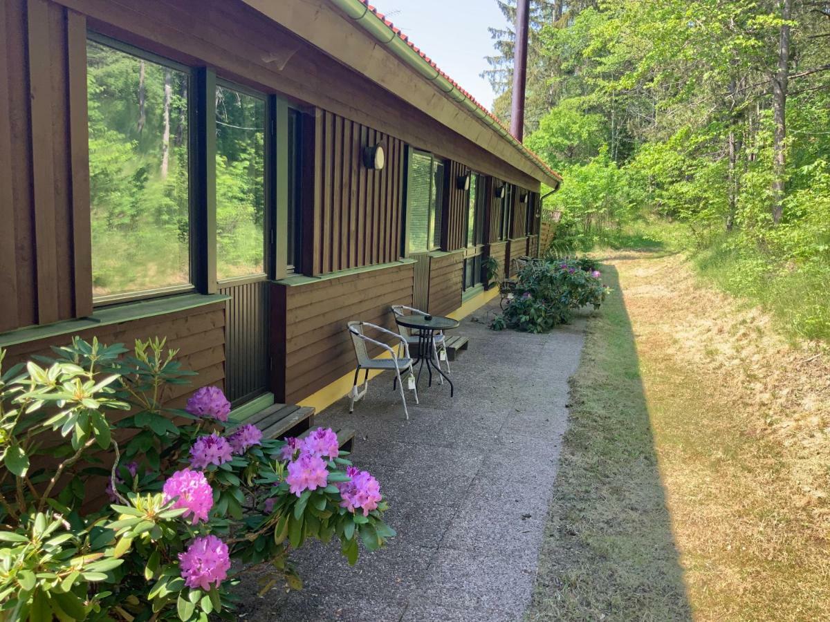 Skogsvikens Hotell Kolmarden Bagian luar foto